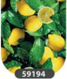 LAMINADO PLAST. AUTOAD ESTAMPADO 45CMx15MT (59194)